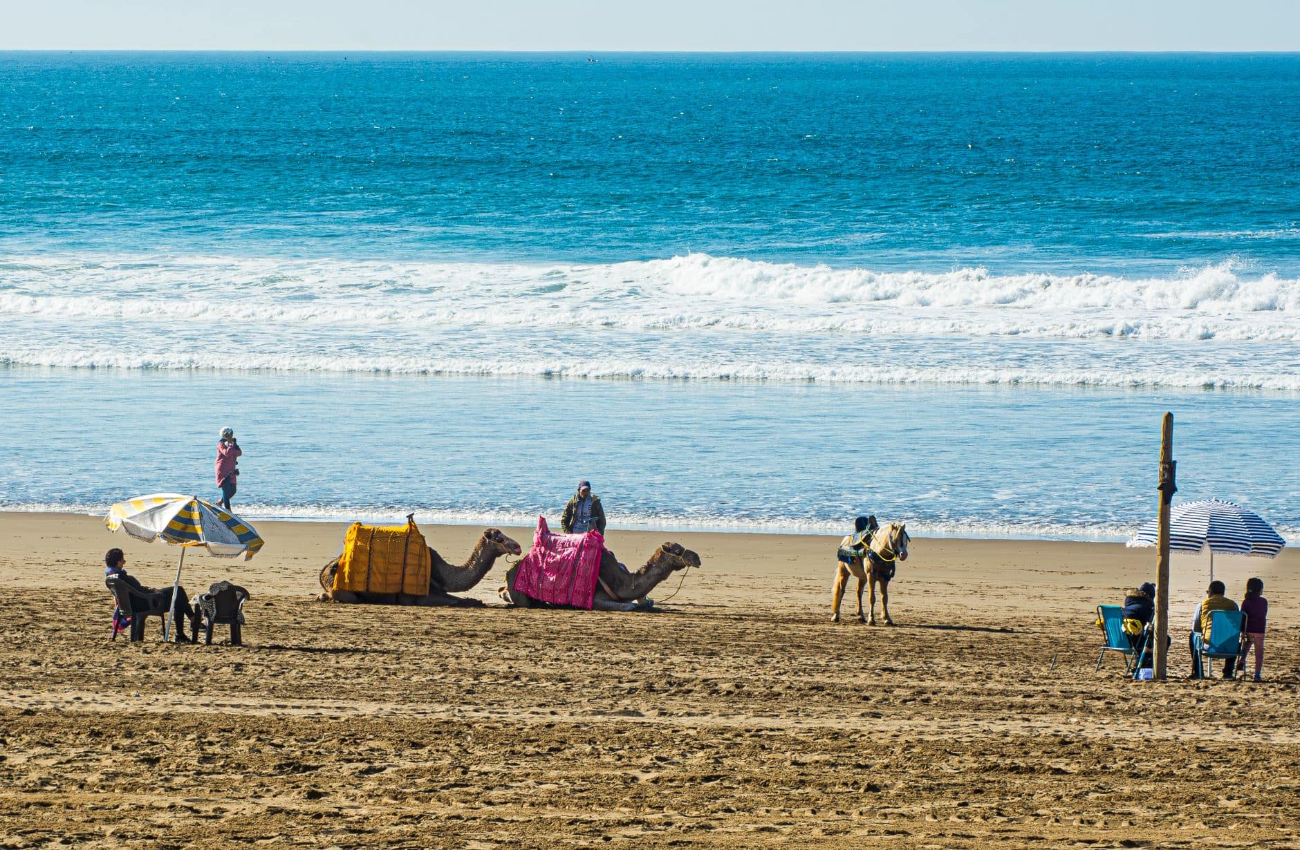Camels with riders by the sea on a sunny beach day, featuring umbrellas and people.
