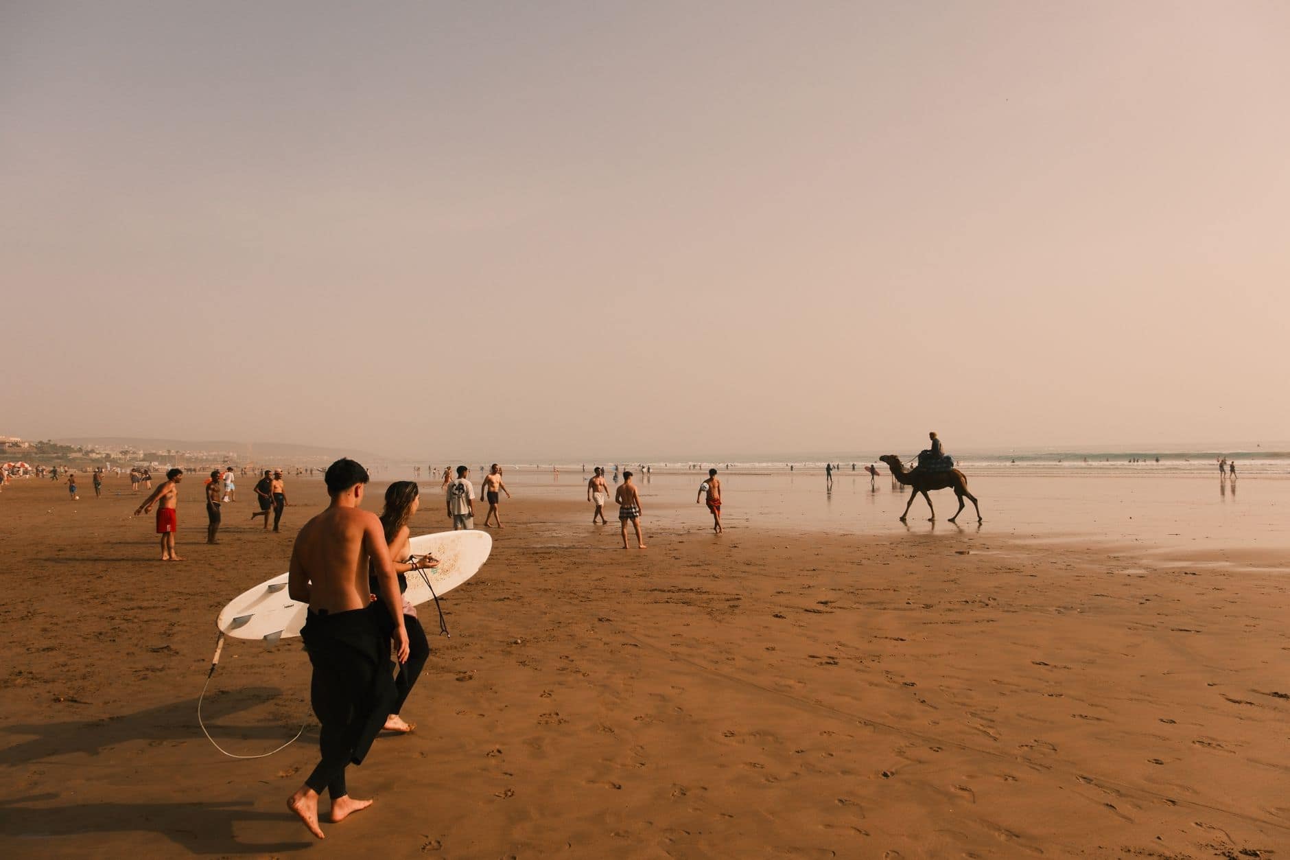 People enjoy a sunny day at the beach with surfing and camel riding.