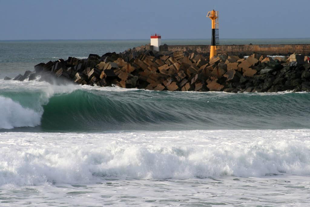 16/02/07 - Anglet - Les cavaliers