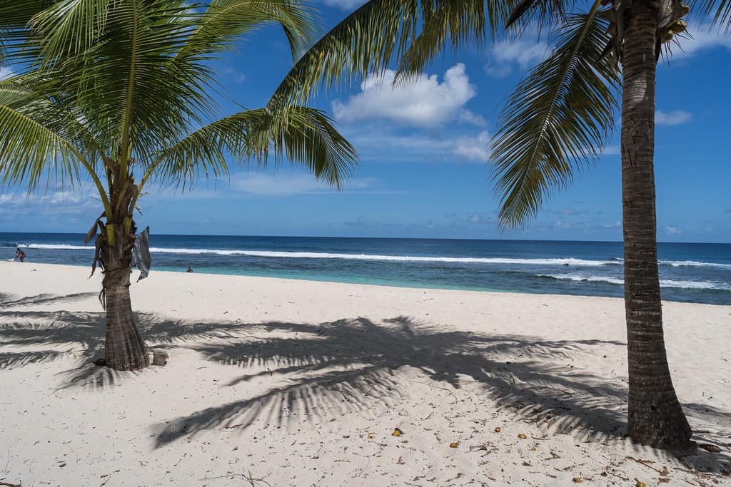 Anse Laborde 4