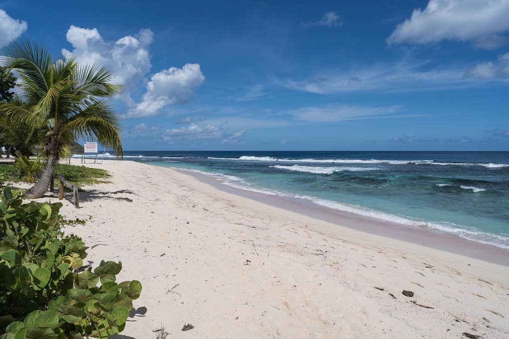 Anse Laborde 2