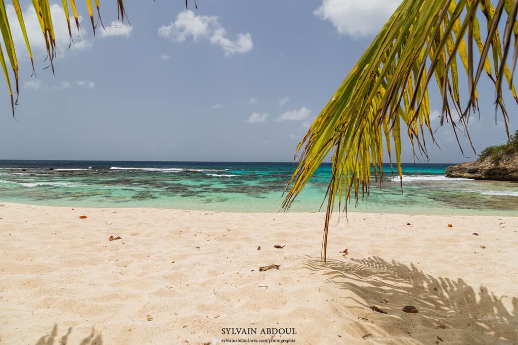 Plage de l'Anse Laborde 2