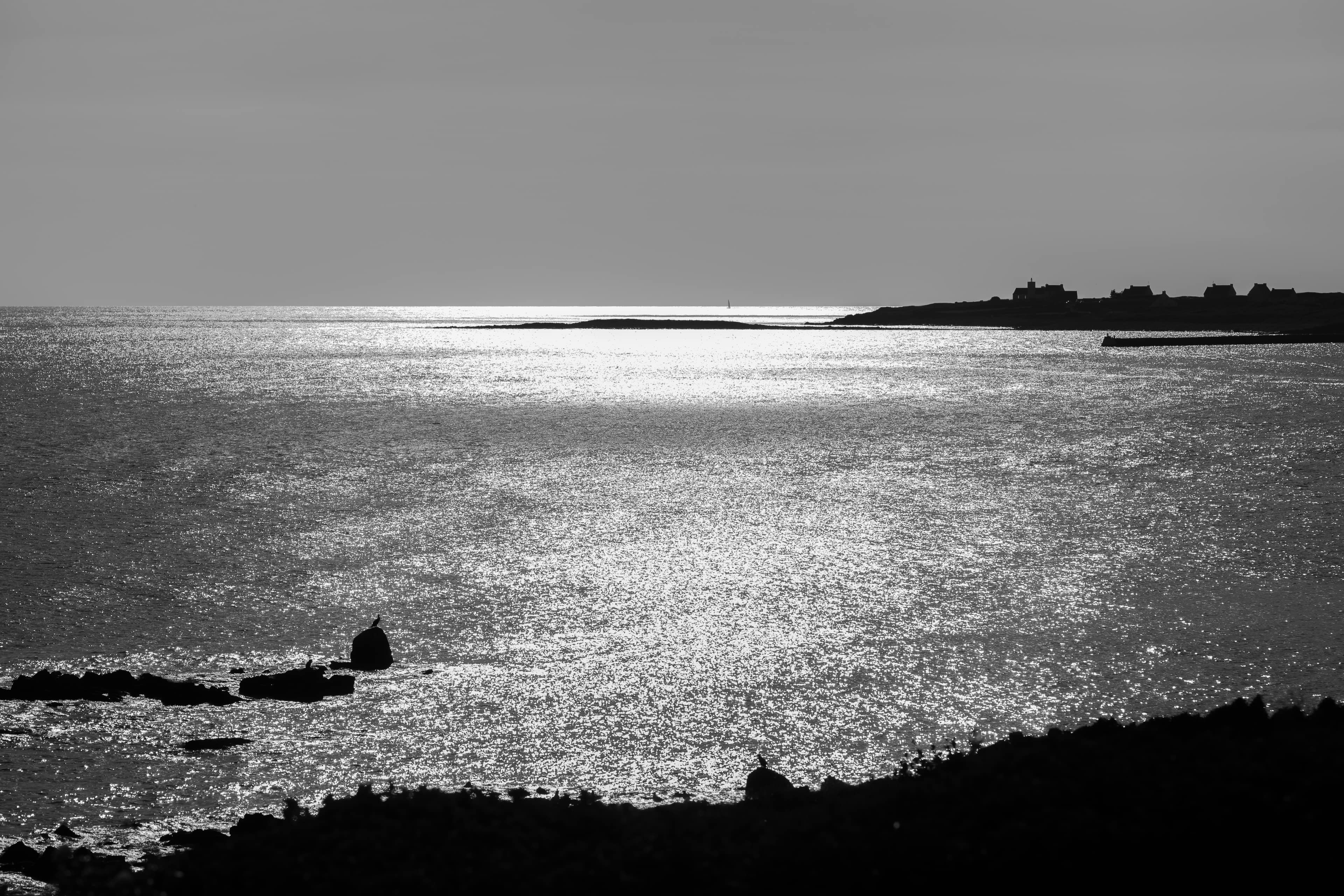 20150926 Audierne DSC08192 BW PtrQs