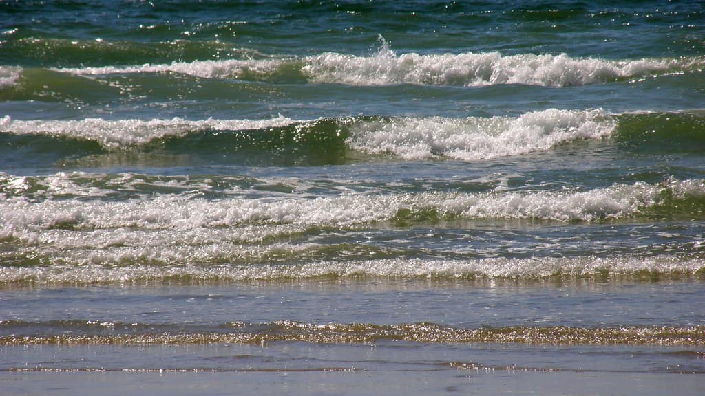 Berck-plage