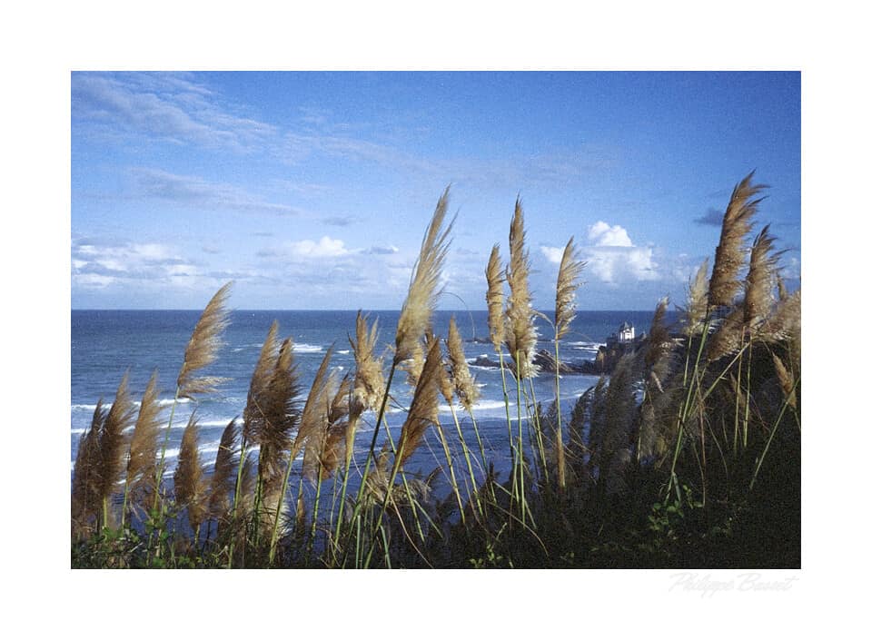 La Côte des basques - Biarritz