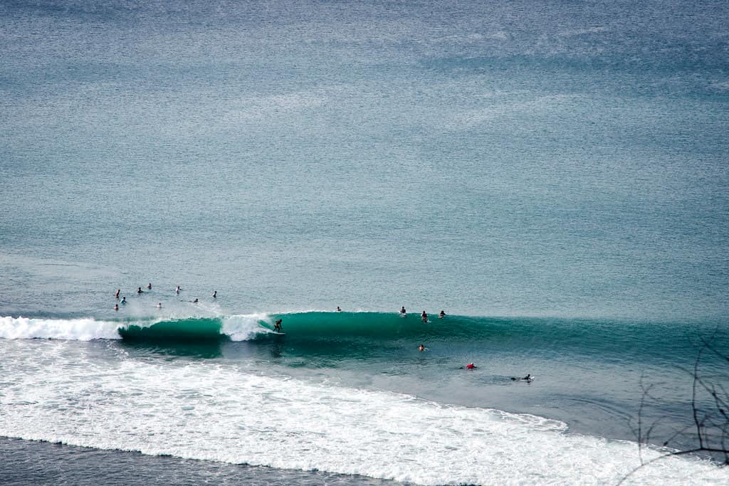 Enjoy the ocean