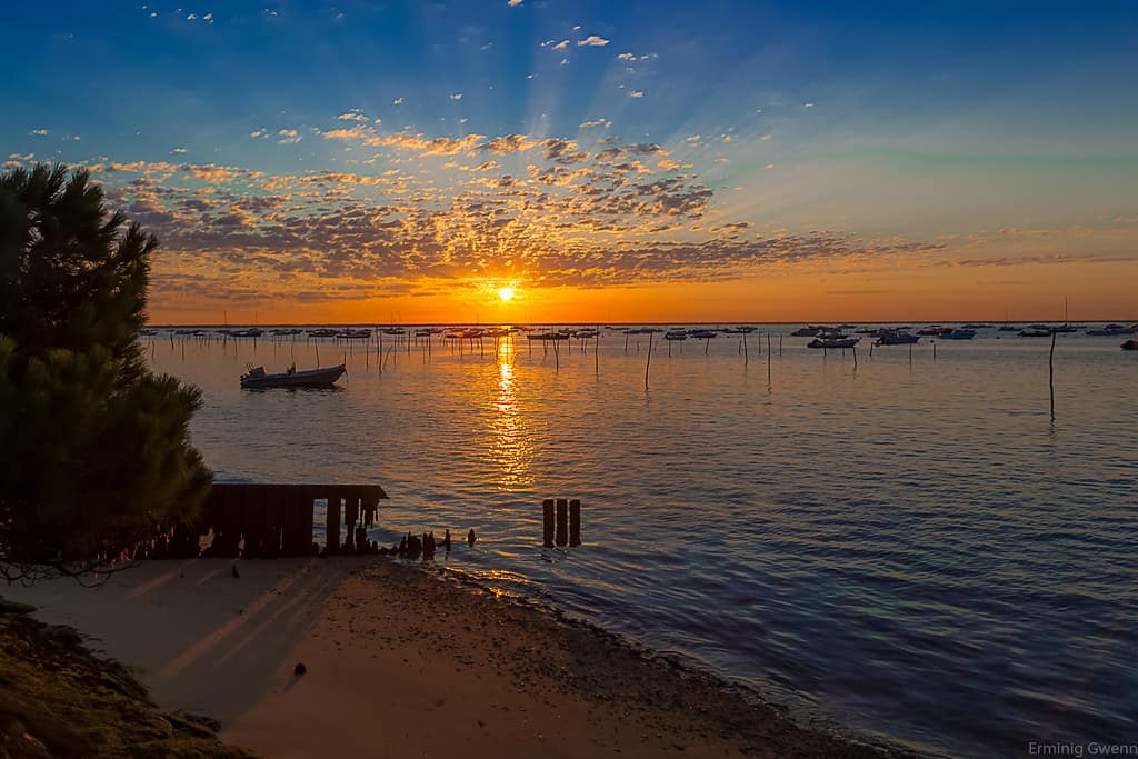L'heure dorée sur les rives du bassin d'Arcachon (4)