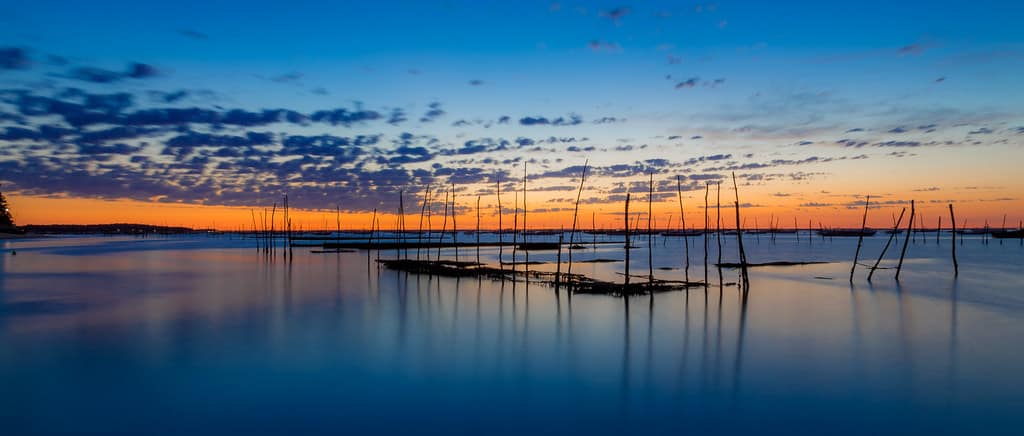 Lever de soleil sur le Bassin d'Arcachon (2) - EXPLORE