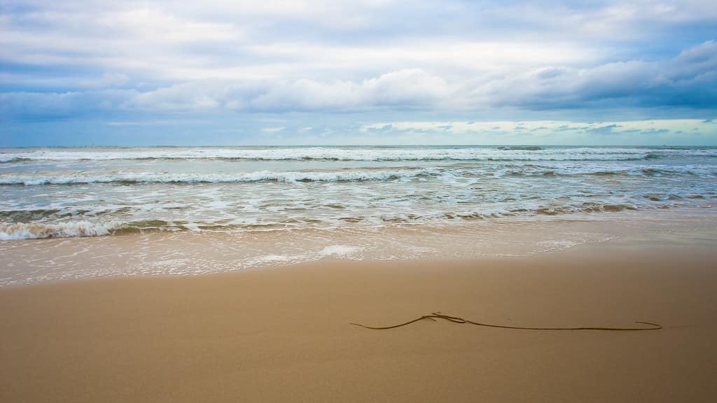 Carcans plage