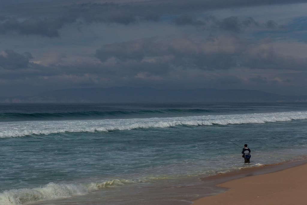 Comporta