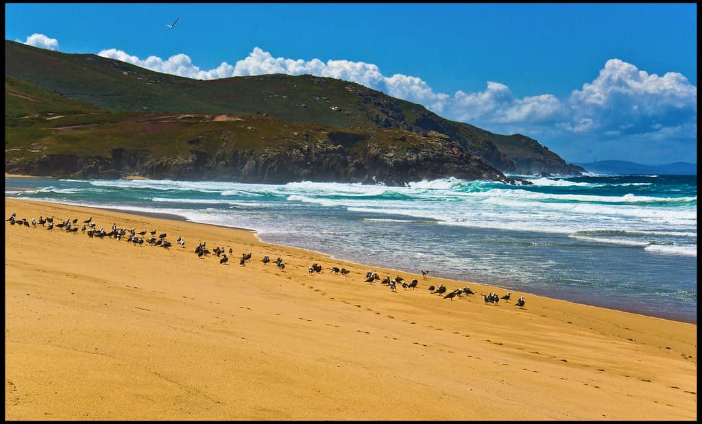 Playa de Doniños