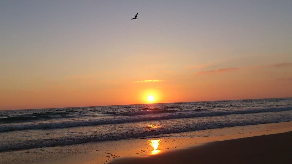 Una Puesta de Sol en El Palmar... Vejer Costa