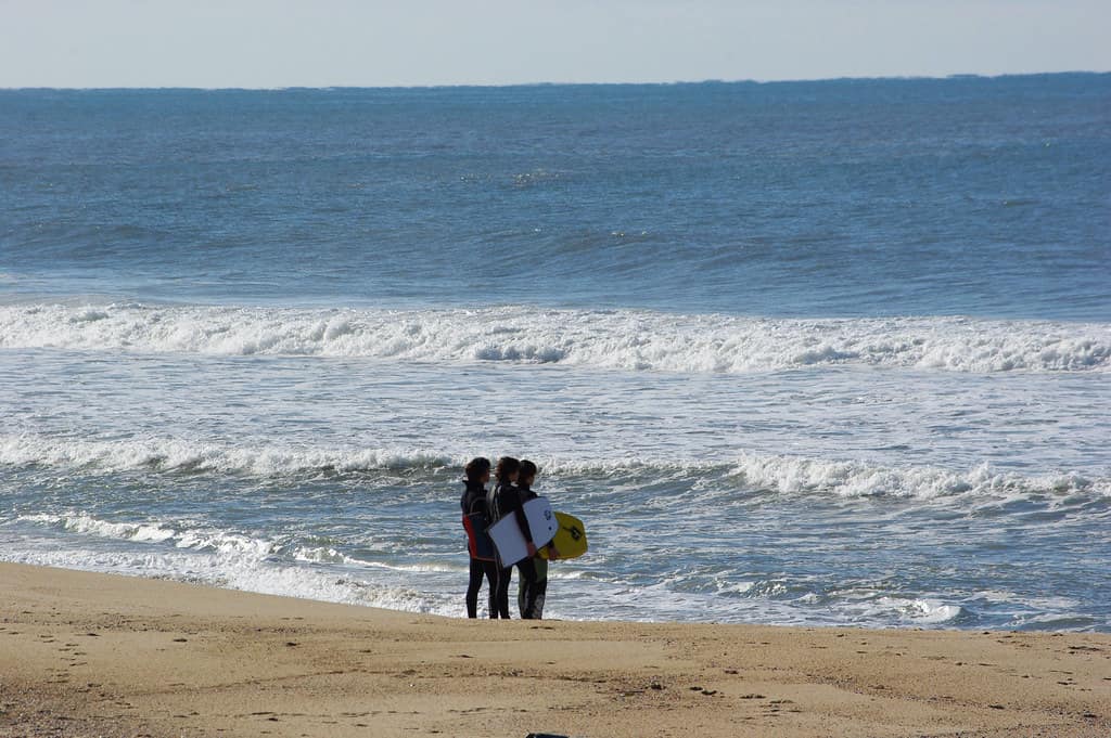 En attendant la vague