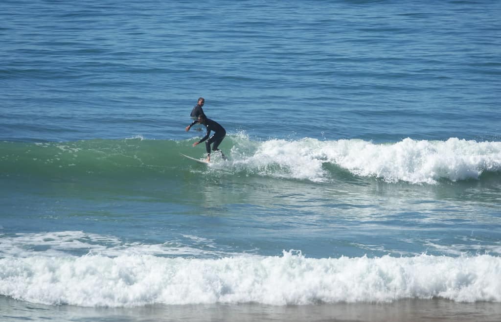 Surf