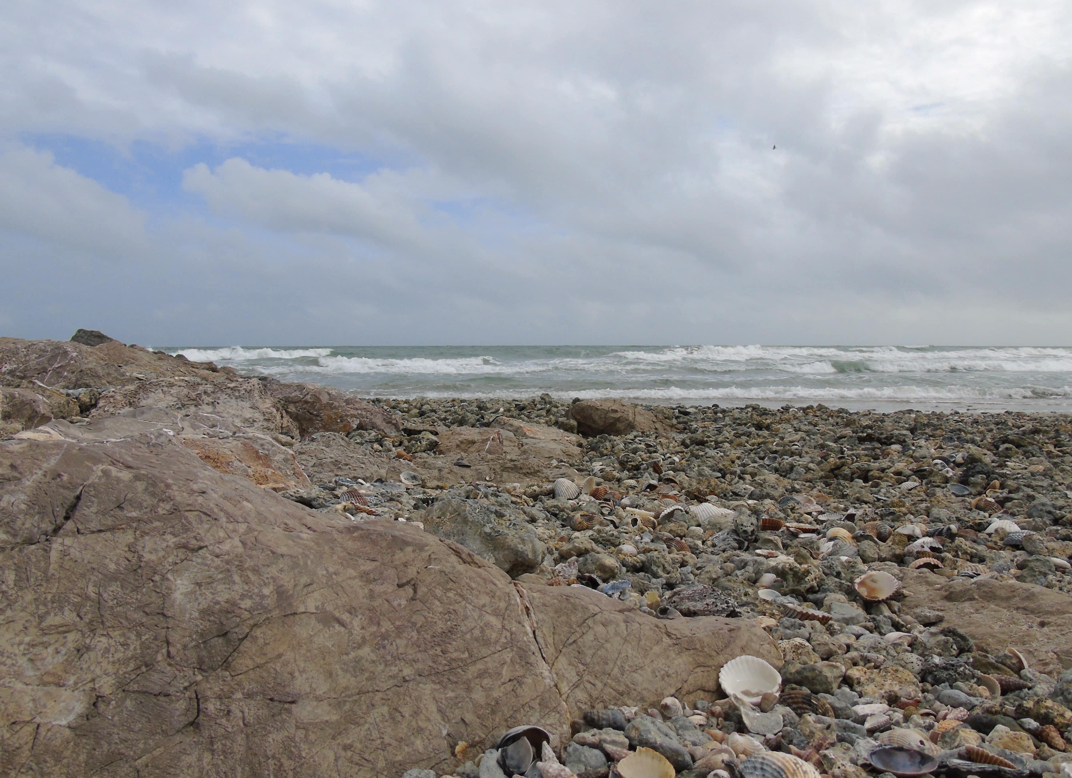 Plage des Aresquiers - 2018-04