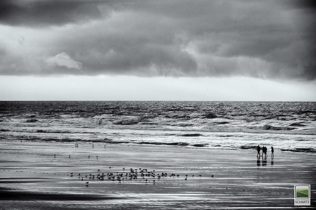 Hardelot-Plage in Winter