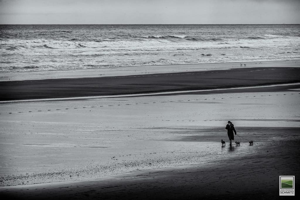 Hardelot-Plage in Winter