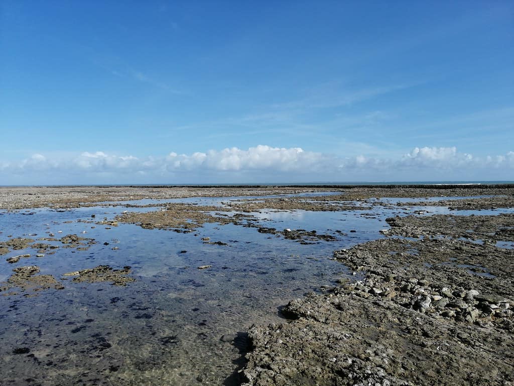 Île de Ré - Phare des baleines (Plage de la Conche des Baleines)