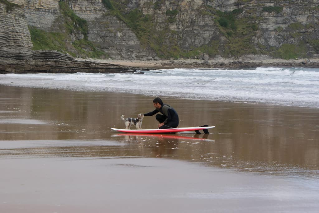 Playa de Langre (25)