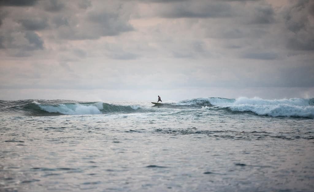 paddle surf