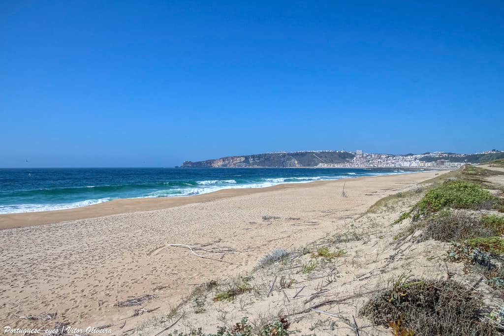 Praia do Sul - Nazaré - Portugal 🇵🇹
