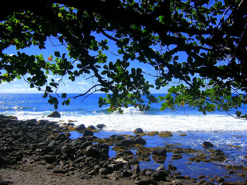 Volcanic Beach, Papenoo, Tahiti