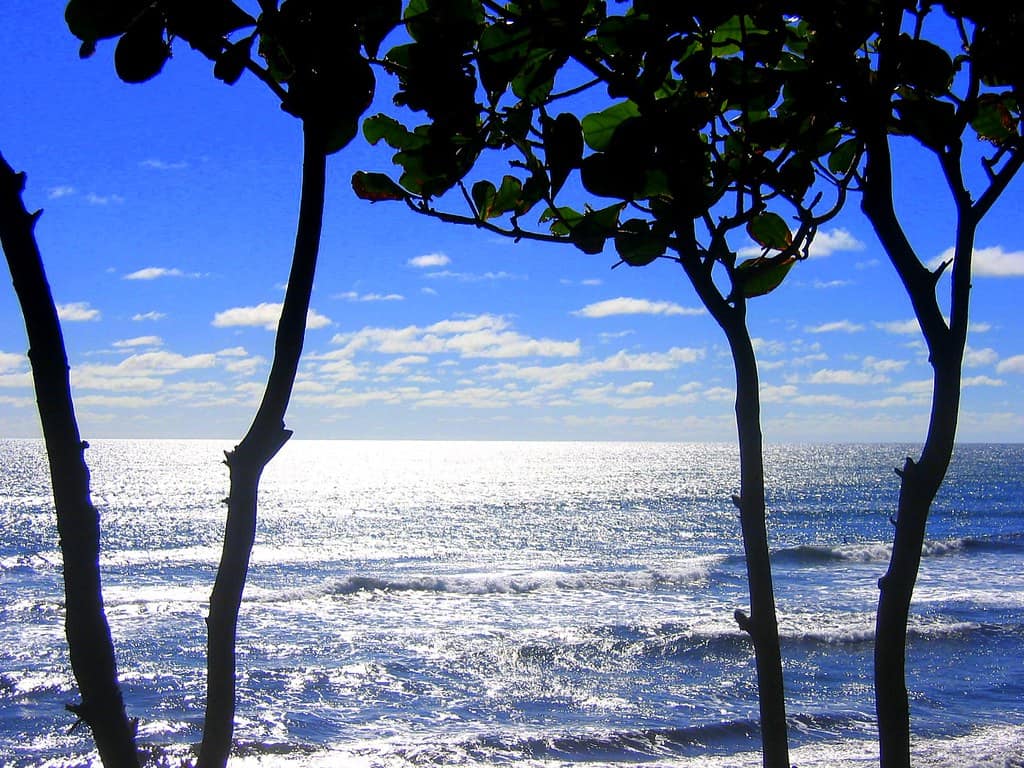 Ocean, Papenoo, Tahiti