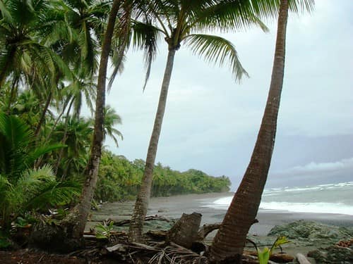Playa Pavones