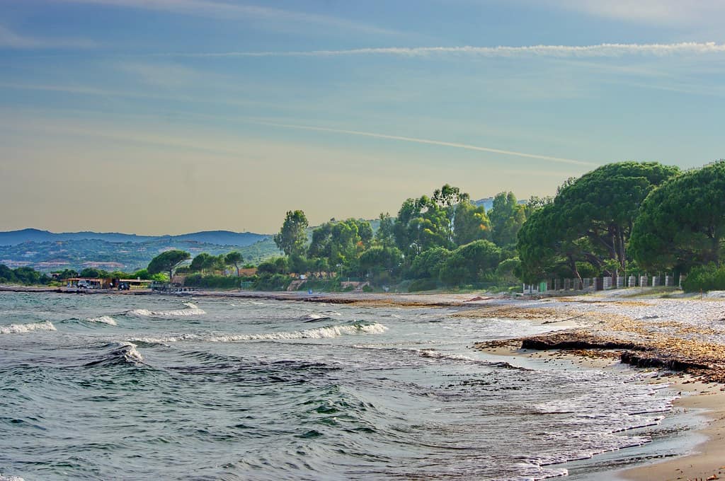 Corse Palombaggia près de Porto-Vecchio 247 sur la plage