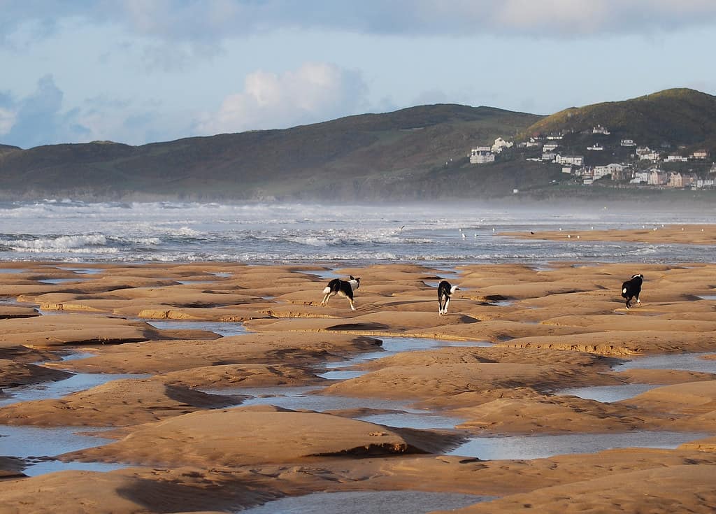 DSC_0027 An afternoon stroll on Putsborough Beach