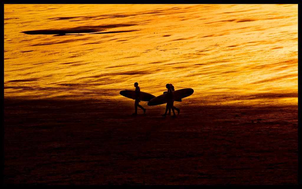 Goodnight Waves
