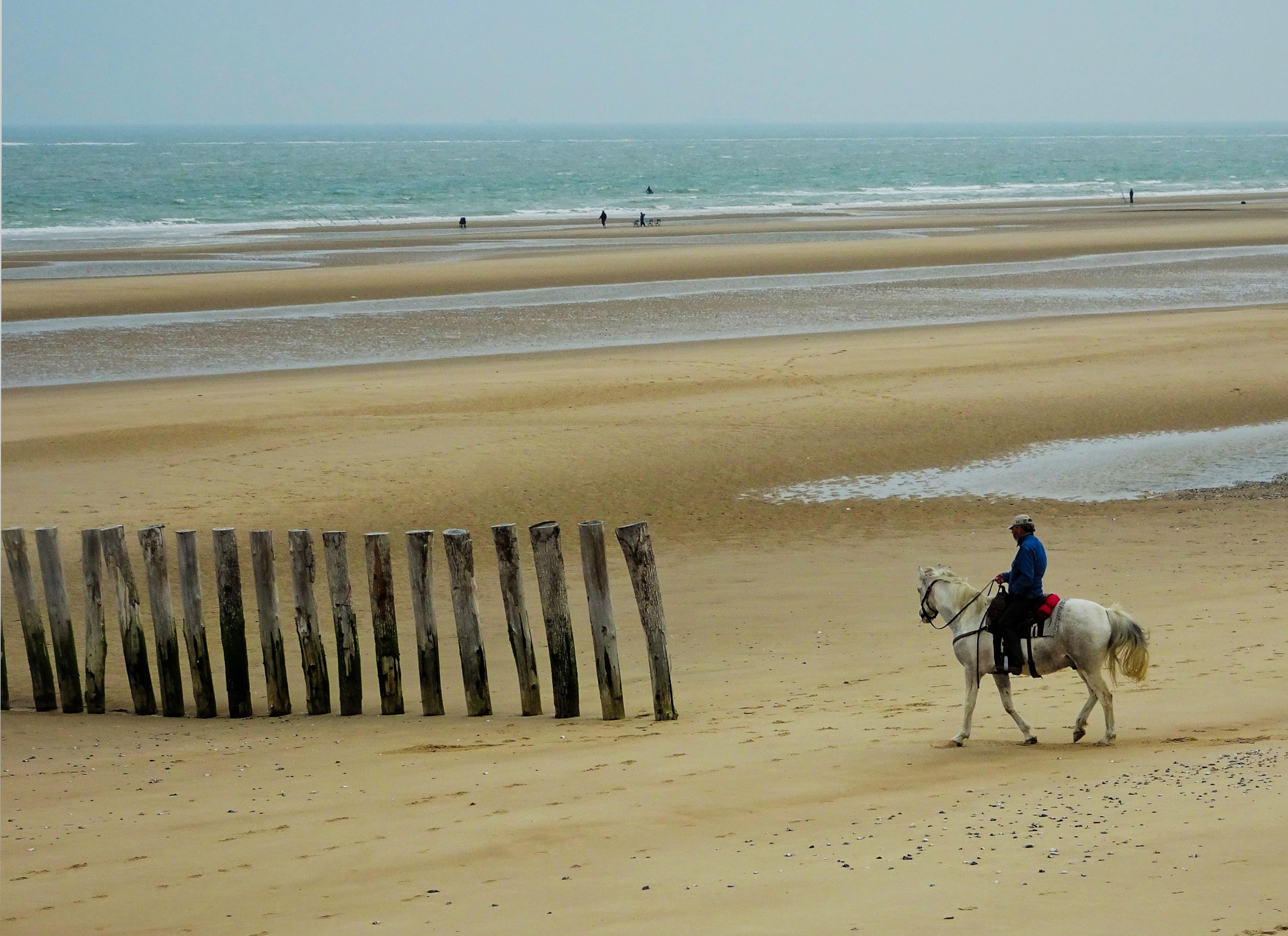 Dunes de Fort-Mahon à Sangatte-plage (1)