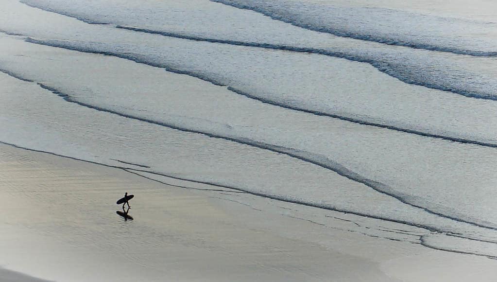 Surf's up!