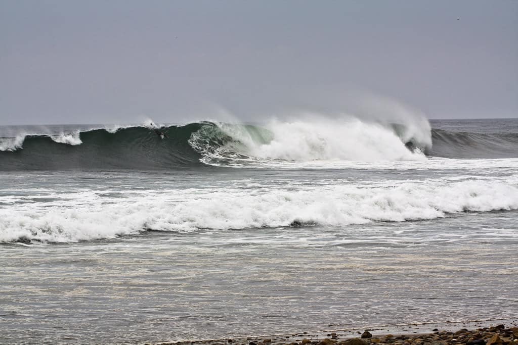 Xagó Surf 4